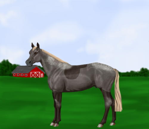 horse image