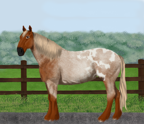 horse image