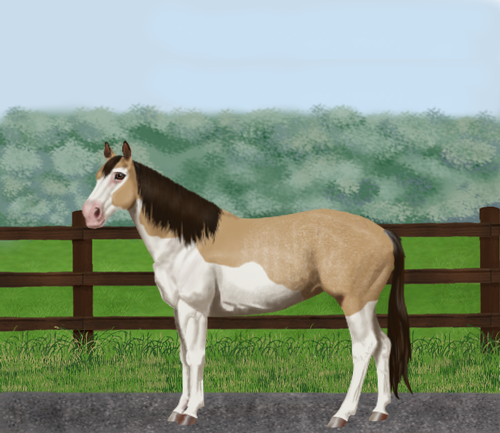 horse image