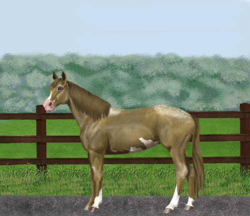 horse image