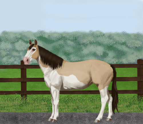 horse image