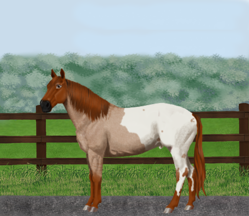 horse image