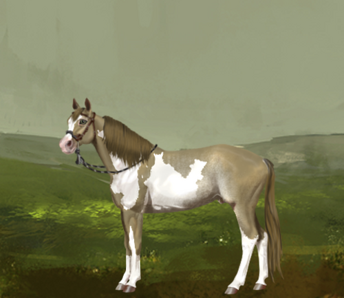 horse image