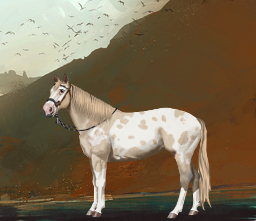 horse image