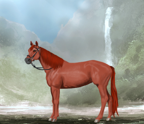 horse image