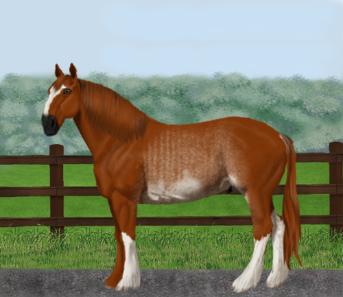 horse image