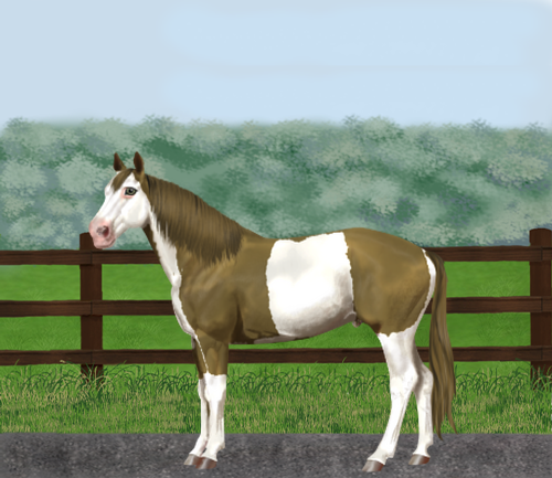 horse image