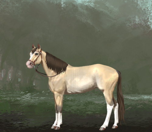 horse image