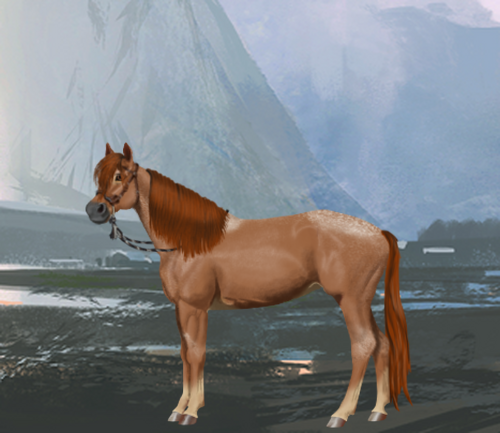 horse image