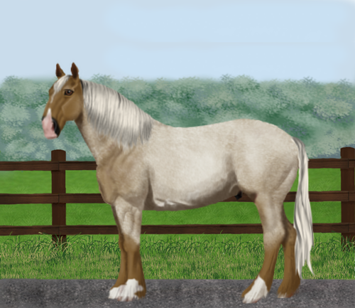 horse image