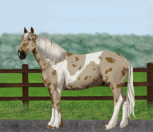 horse image