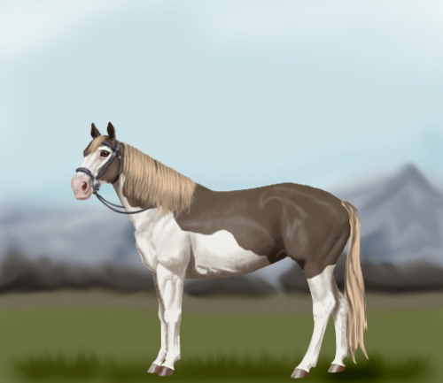 horse image