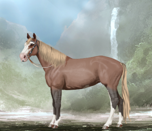 horse image