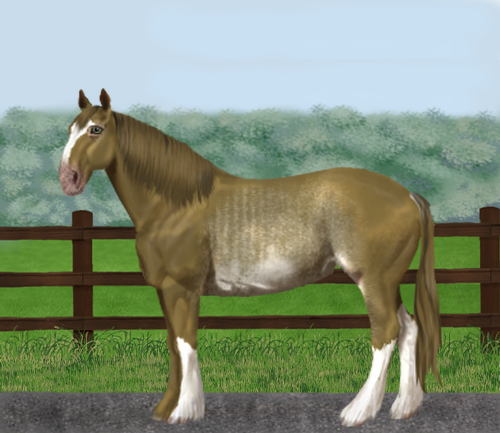 horse image