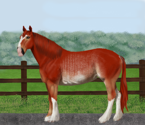 horse image