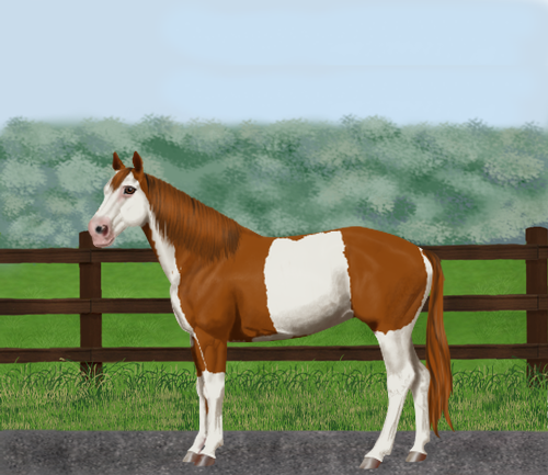 horse image