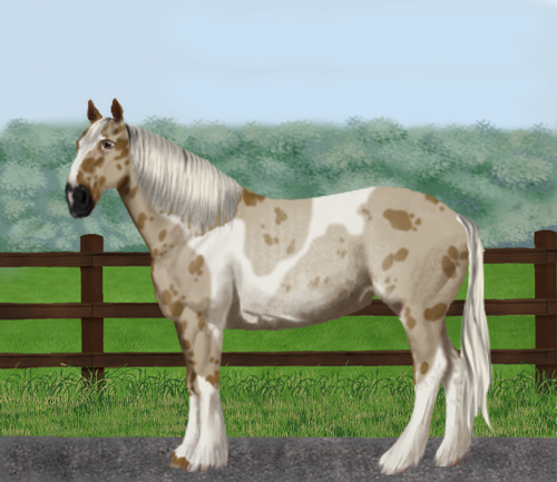 horse image