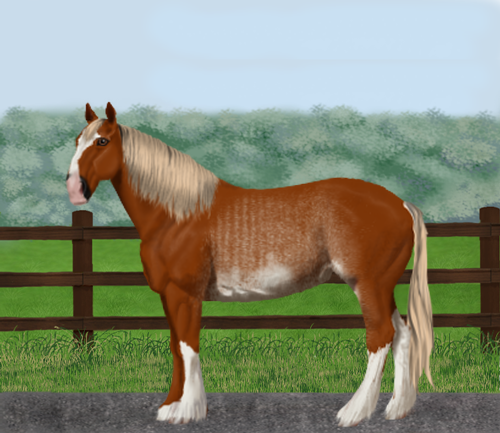 horse image