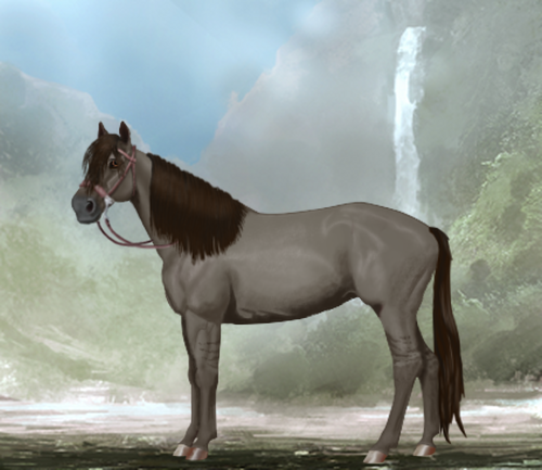 horse image