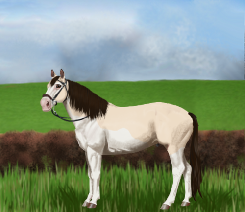 horse image