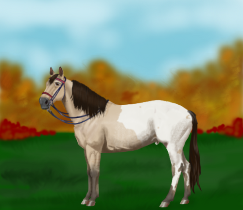 horse image