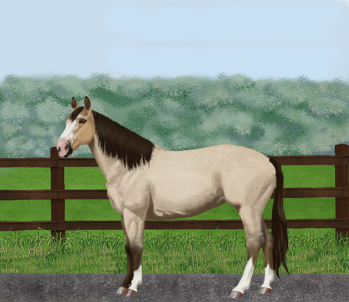 horse image