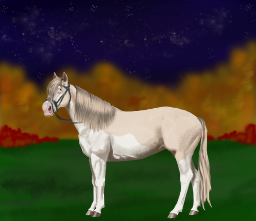 horse image