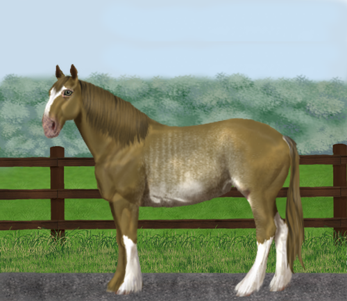 horse image