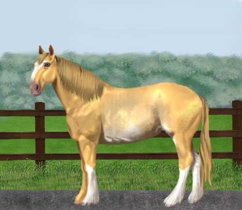 horse image