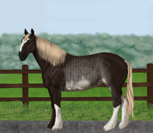 horse image