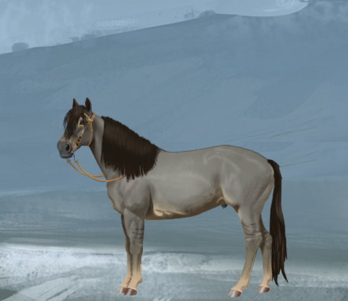 horse image