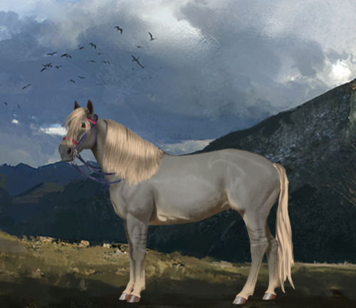 horse image