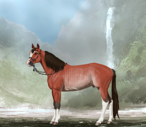 horse image