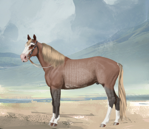 horse image