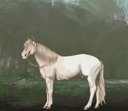 horse image