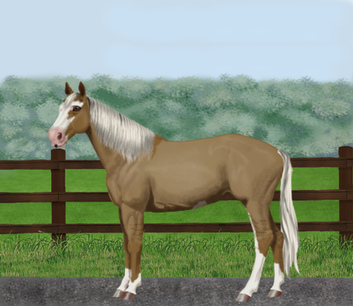 horse image