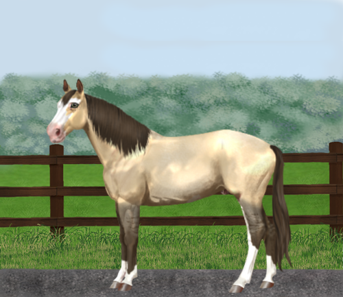 horse image