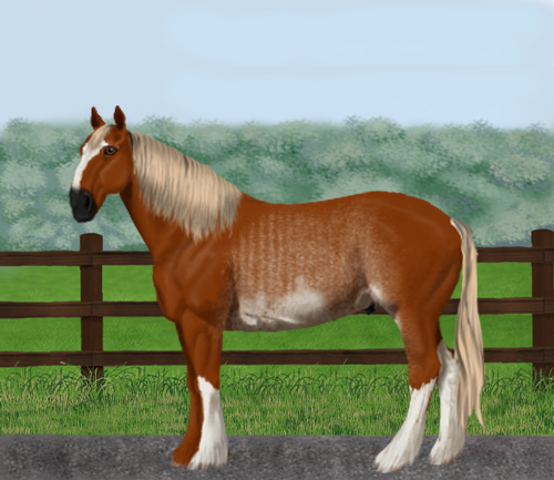 horse image