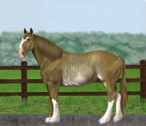 horse image