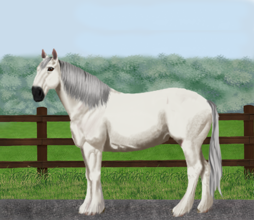 horse image