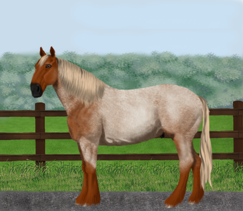 horse image