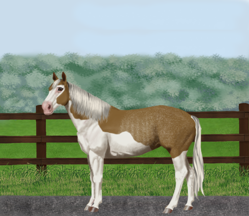 horse image