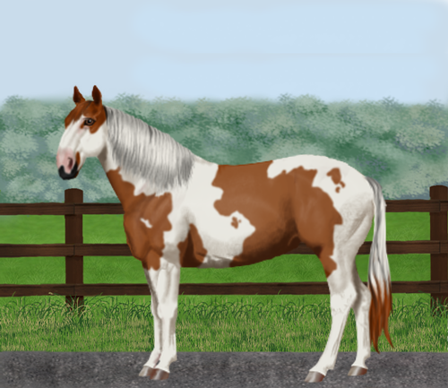 horse image