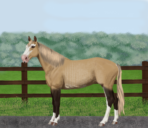 horse image