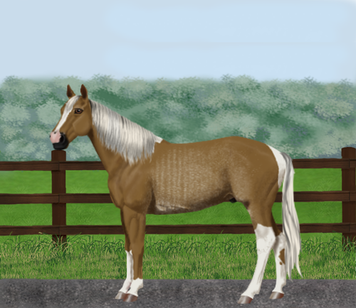 horse image