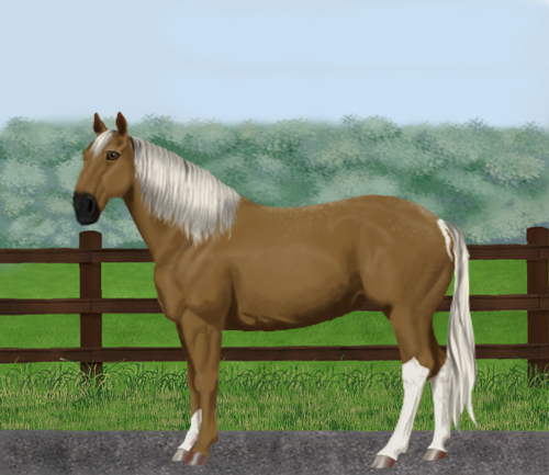 horse image