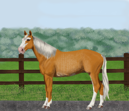 horse image