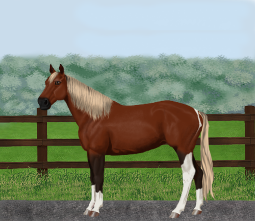 horse image