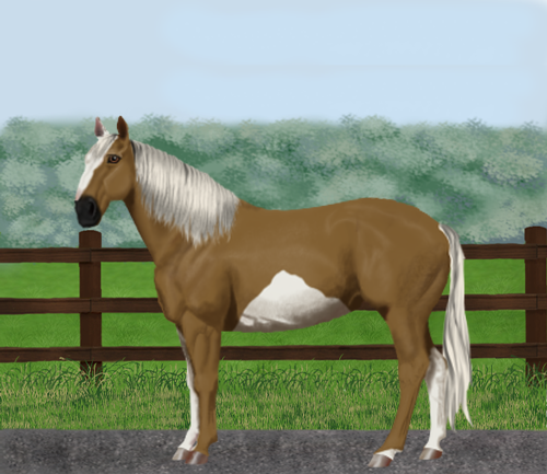 horse image