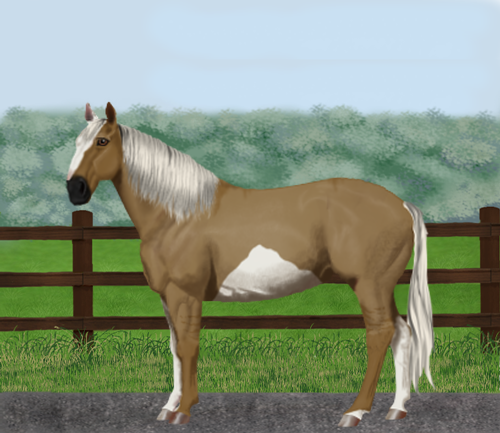 horse image